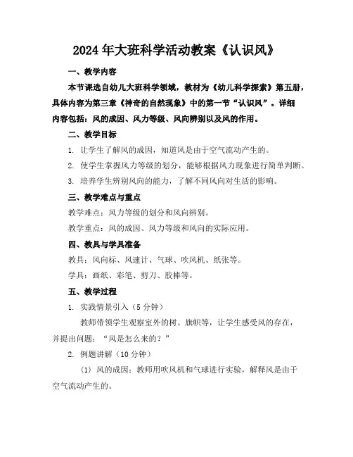 2024年大班科学活动教案《认识风》