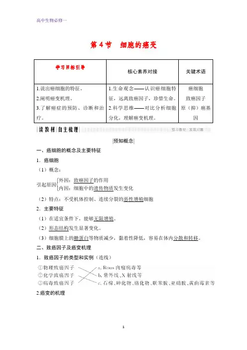 高中生物必修1：6.4 细胞的癌变学案