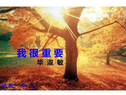 3 、我很重要(上课用)ppt