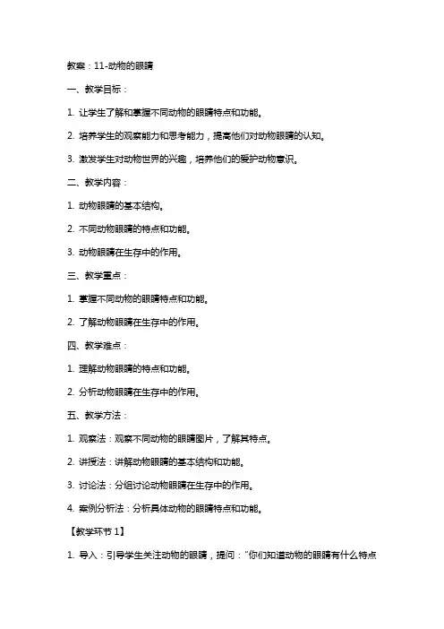 11动物的眼睛 教案
