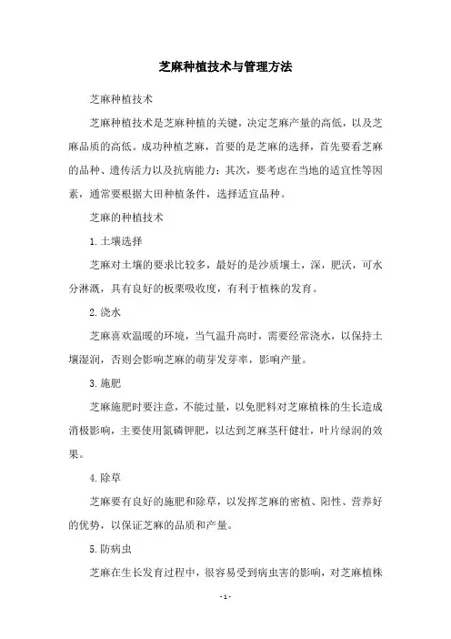 芝麻种植技术与管理方法
