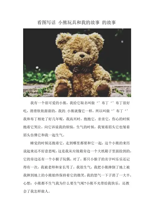 看图写话 小熊玩具和我的故事 的故事