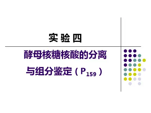 实验四酵母核糖核酸的分离与组分鉴定ppt课件