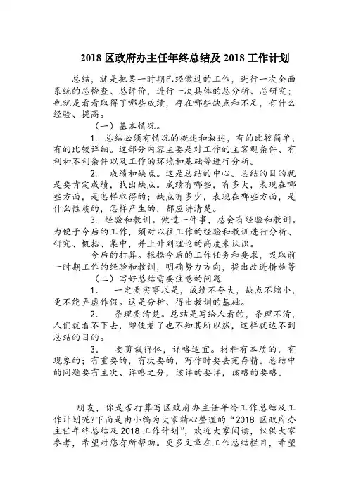 2018区政府办主任年终总结及计划