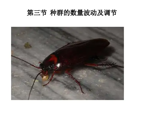 种群数量波动及调节