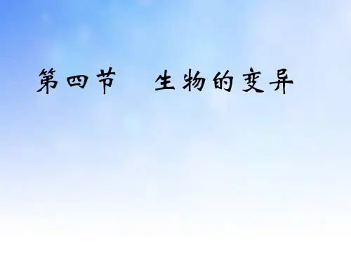 基因突变ppt课件演示文稿