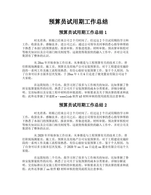 预算员试用期工作总结