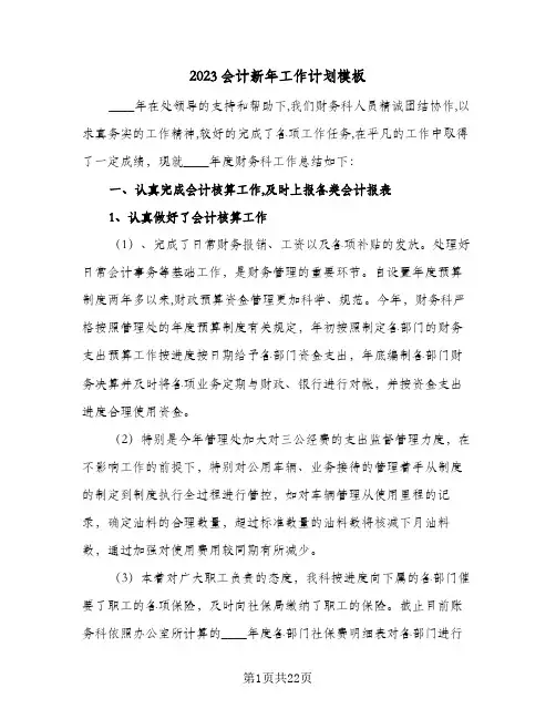 2023会计新年工作计划模板(5篇)