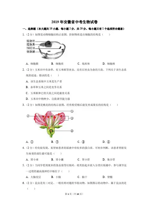 2019年安徽省中考生物试卷以及逐题解析版