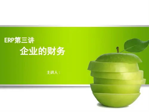 ERP沙盘第三讲 企业的财务