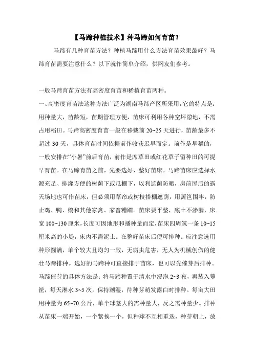 【马蹄种植技术】种马蹄如何育苗？