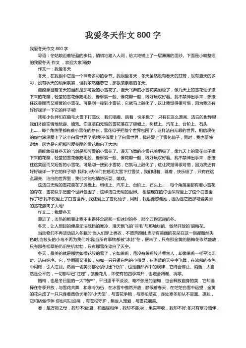我爱冬天作文800字