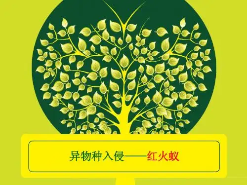 培训教材：异物种入侵——红火蚁