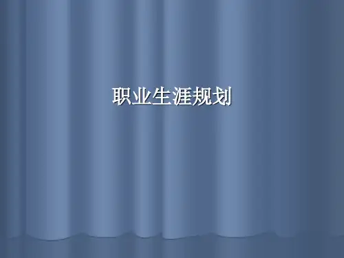 职业生涯规划(ppt文件)