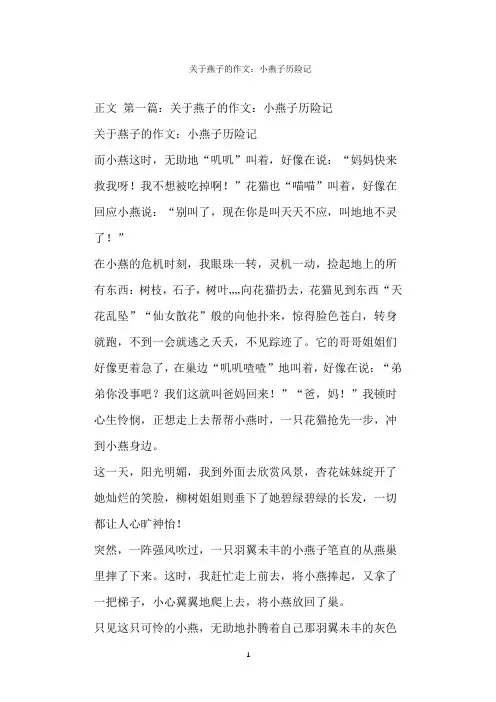  关于燕子的作文：小燕子历险记