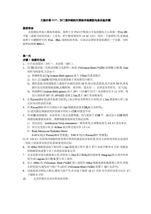 PFGE实验的标准流程