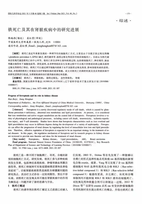 铁死亡及其在肾脏疾病中的研究进展