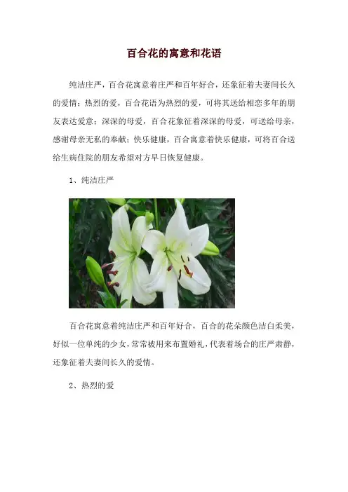 百合花的寓意和花语
