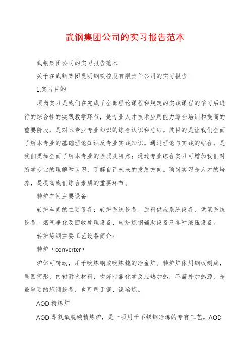 武钢集团公司的实习报告范本
