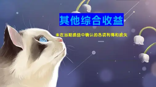 其他综合收益