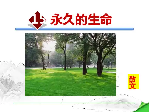 部编版八年级上册语文《永久的生命》教学说课电子课件