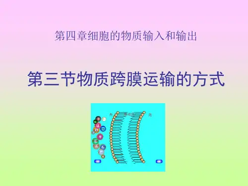 人教版教学吉林省松原市扶余县第一中学高一生物《43物质跨膜运输的方式》精品PPT课件