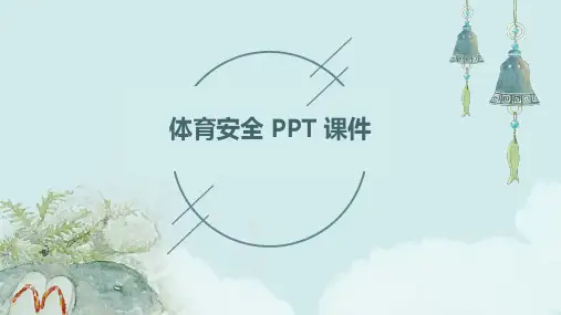 体育安全 ppt课件