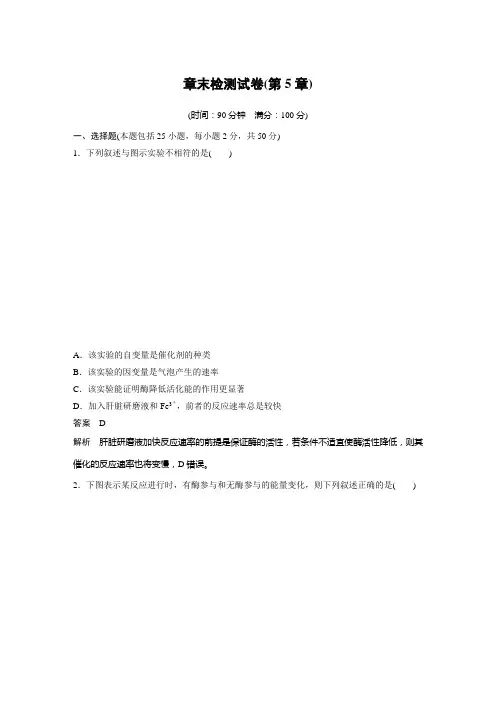 新教材高中生物必修一章末检测试卷(第5章)