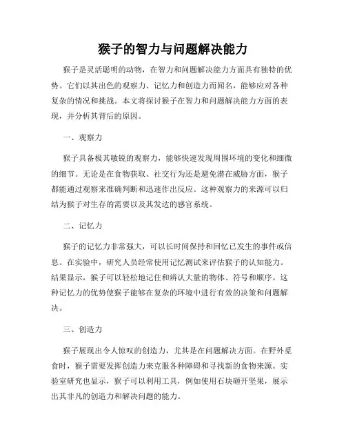 猴子的智力与问题解决能力