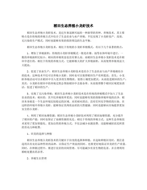稻田生态养殖小龙虾技术