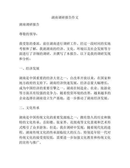 湖南调研报告作文