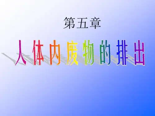优质公开课教学课件精选尿液的形成和排出教学课件