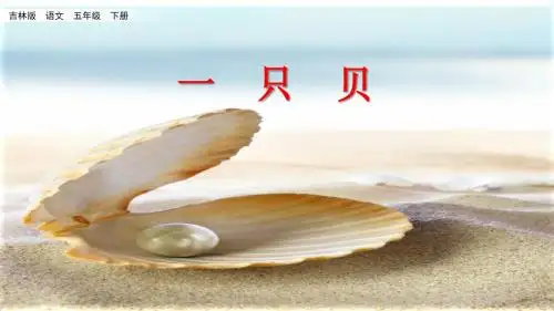 五年级下册语文课件-4.1 一只贝长春版(共33张PPT)