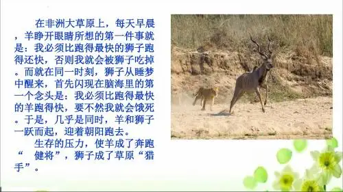 (新)鲁人版《道德与法治》七年级下册13.3《正视压力 轻松前行》课件(共23张PPT)