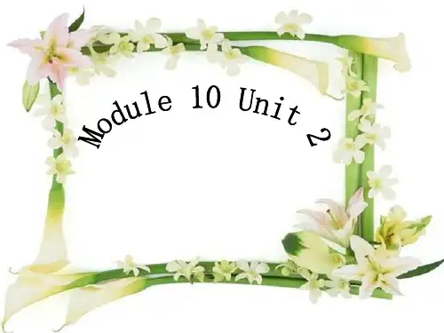 四年级下册英语课件-M10 U2 Sam had lots of chocolate_外研版(三起) (共21张PPT)