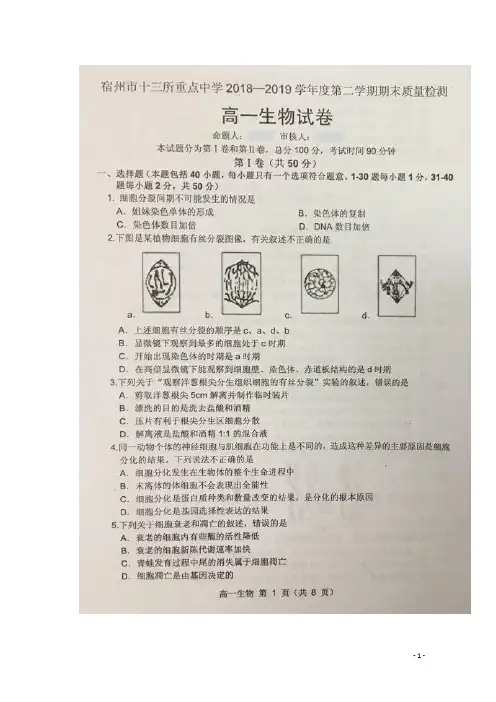 安徽省宿州市十三所省重点中学2018_2019学年高一生物下学期期末联考试题