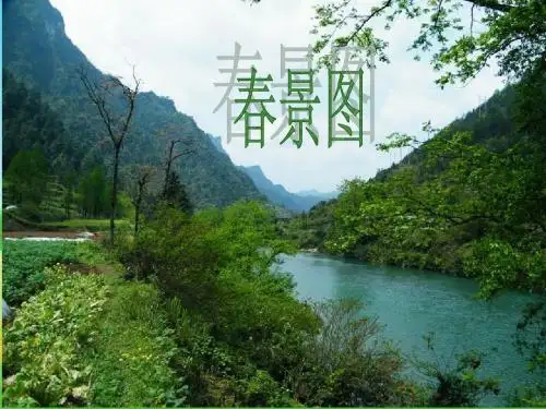 苏教版五年级语文下册1《春光染绿我们双脚》