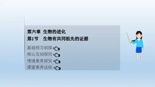 新人教版必修2生物有共同祖先的证据(31张)课件
