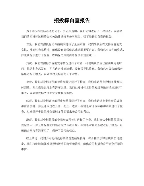 招投标自查报告