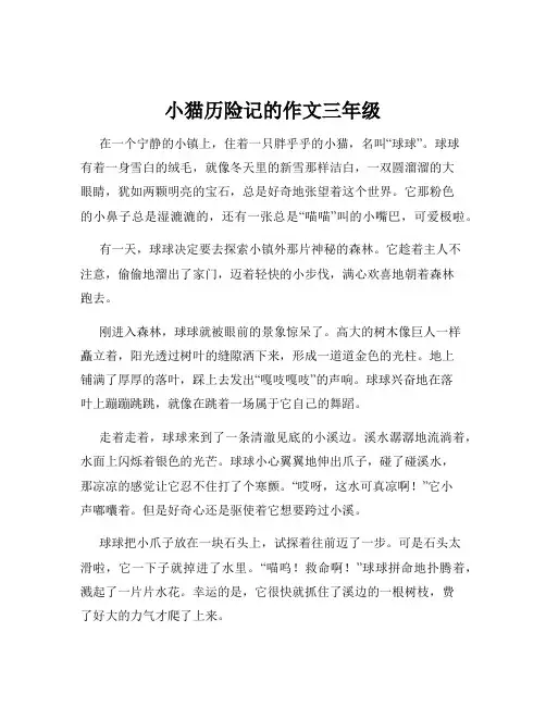小猫历险记的作文三年级