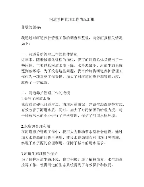 河道养护管理工作情况汇报