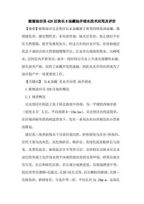 姬塬油田吴420区块长6油藏油井堵水技术应用及评价