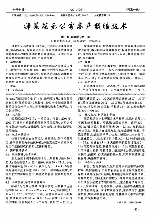 绿菜花无公害高产栽培技术
