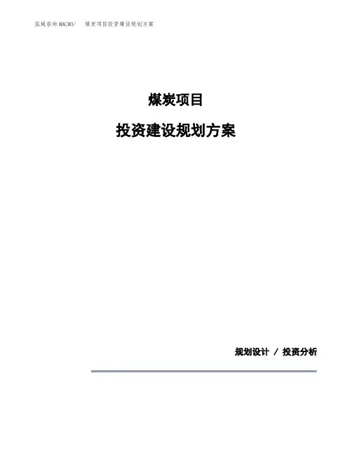 煤炭项目投资建设规划方案(模板)