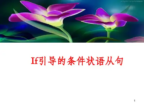 If引导的条件状语从句