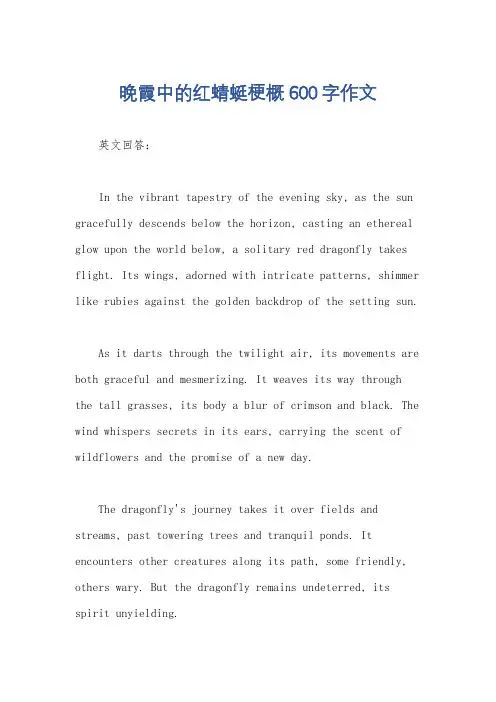 晚霞中的红蜻蜓梗概600字作文