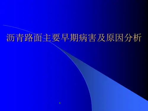 沥青路面主要早期病害及原因分析PPT培训课件