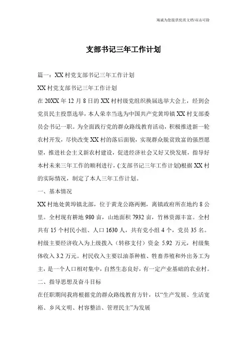 支部书记三年工作计划