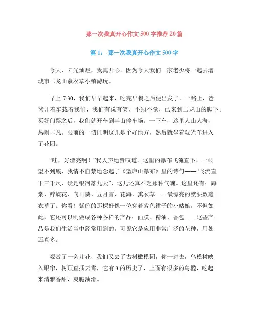 那一次我真开心作文500字推荐20篇
