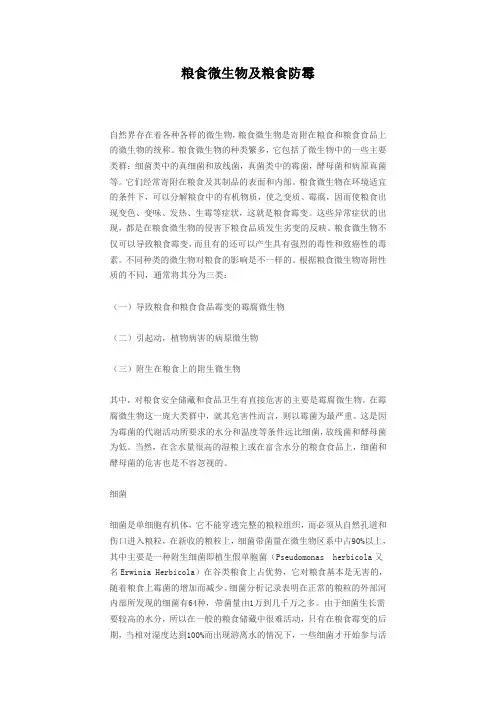 粮食微生物及粮食防霉